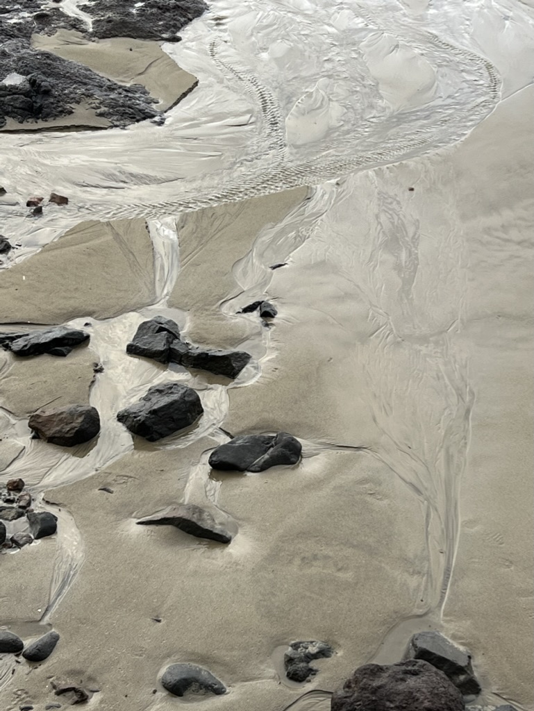 Yachats estuary