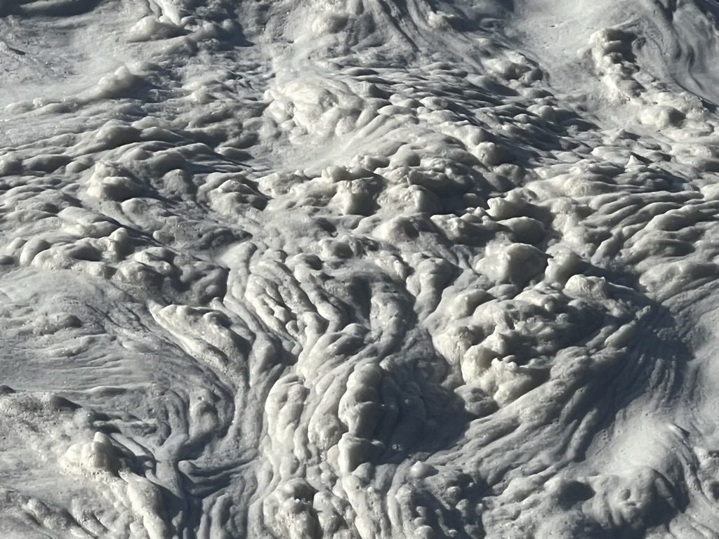 ocean foam near Yachats