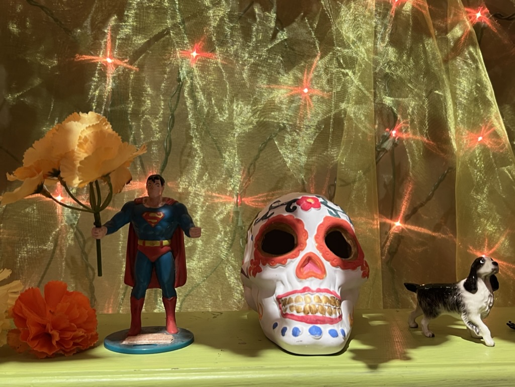 superman, day of the dead skull art, Tucson Botanical Gardens