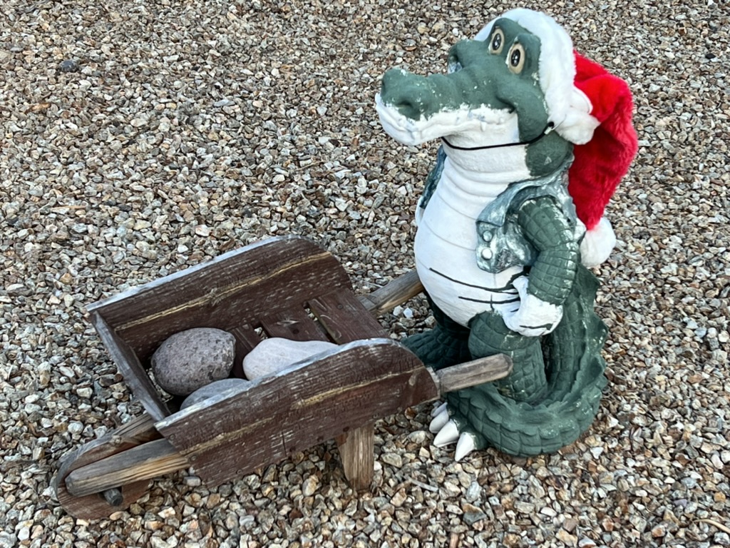 crocodile rock (holiday garb), Green Valley, Arizona