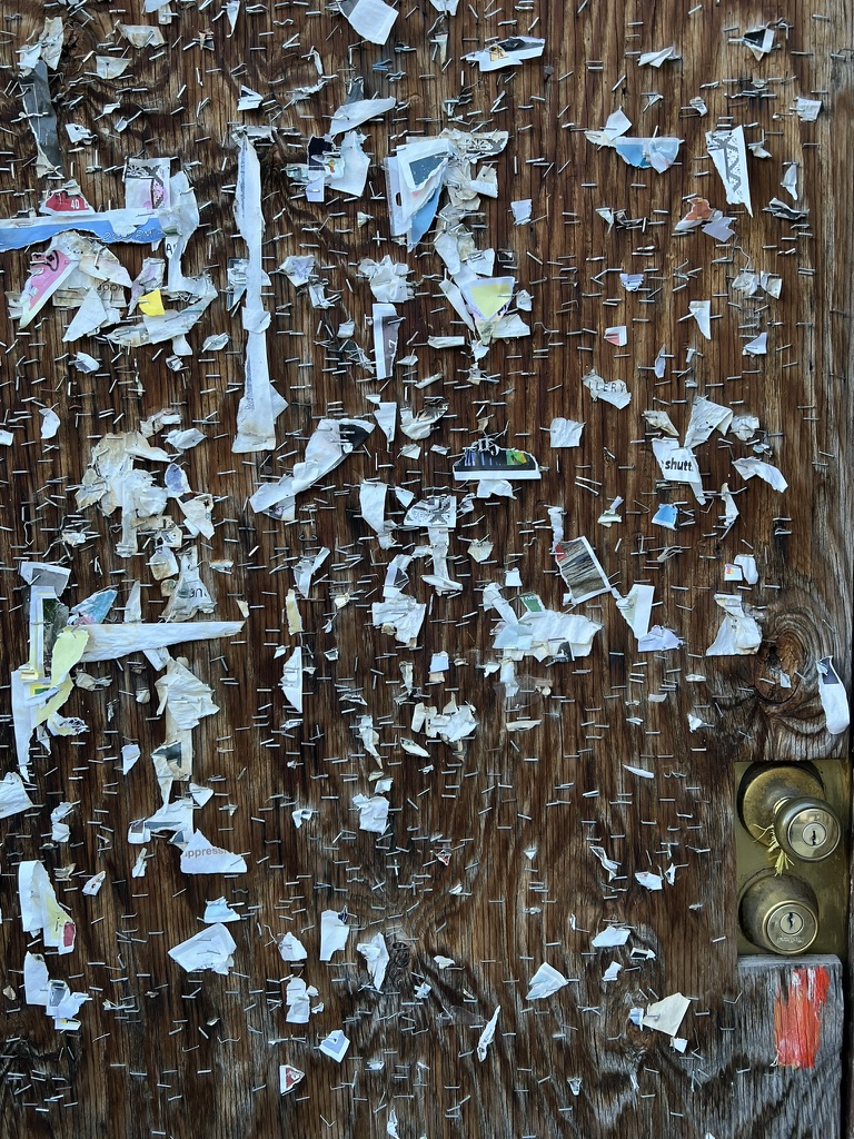 staples and paper scraps, Bisbee, Arizona