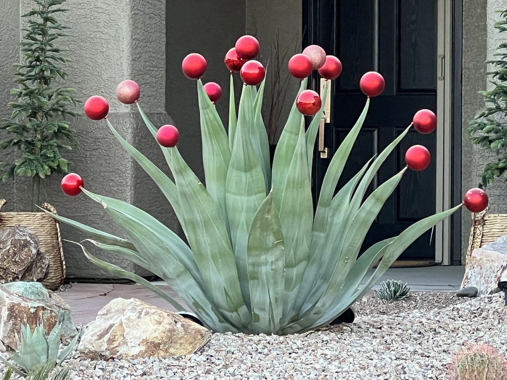 holiday desert decor