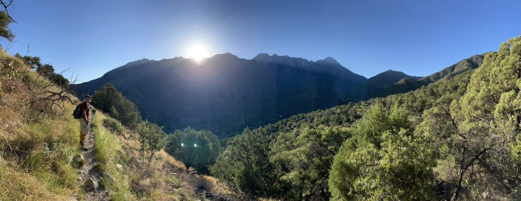 hiking in Madera Canyon