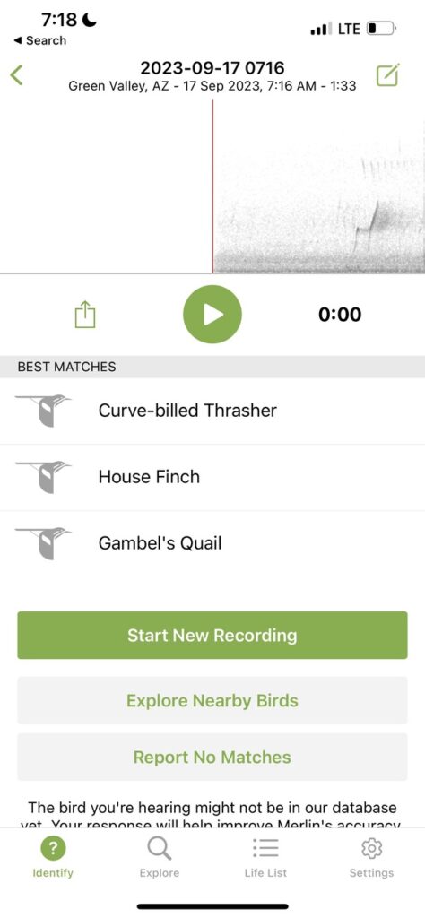 screen snap of Merlin (bird call identification) app